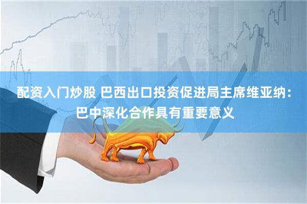 配资入门炒股 巴西出口投资促进局主席维亚纳： 巴中深化合作具有重要意义