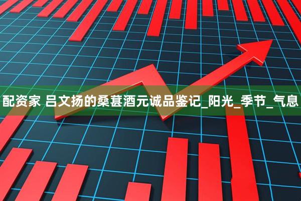 配资家 吕文扬的桑葚酒元诚品鉴记_阳光_季节_气息