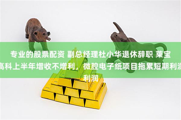 专业的股票配资 副总经理杜小华退休辞职 莱宝高科上半年增收不增利，微腔电子纸项目拖累短期利润