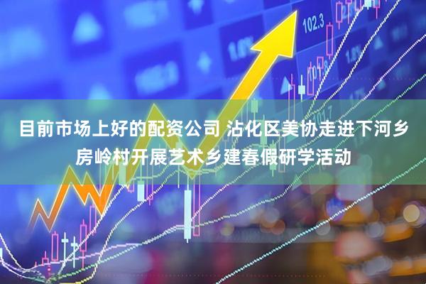 目前市场上好的配资公司 沾化区美协走进下河乡房岭村开展艺术乡建春假研学活动