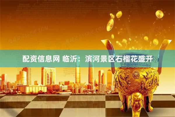 配资信息网 临沂：滨河景区石榴花盛开